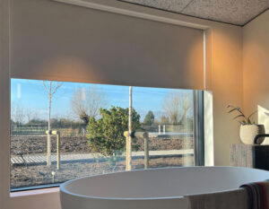 Standard S Series Lifestyle