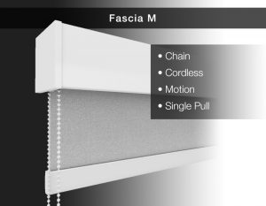 Fascia M Chain
