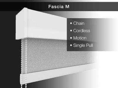 Fascia M Chain